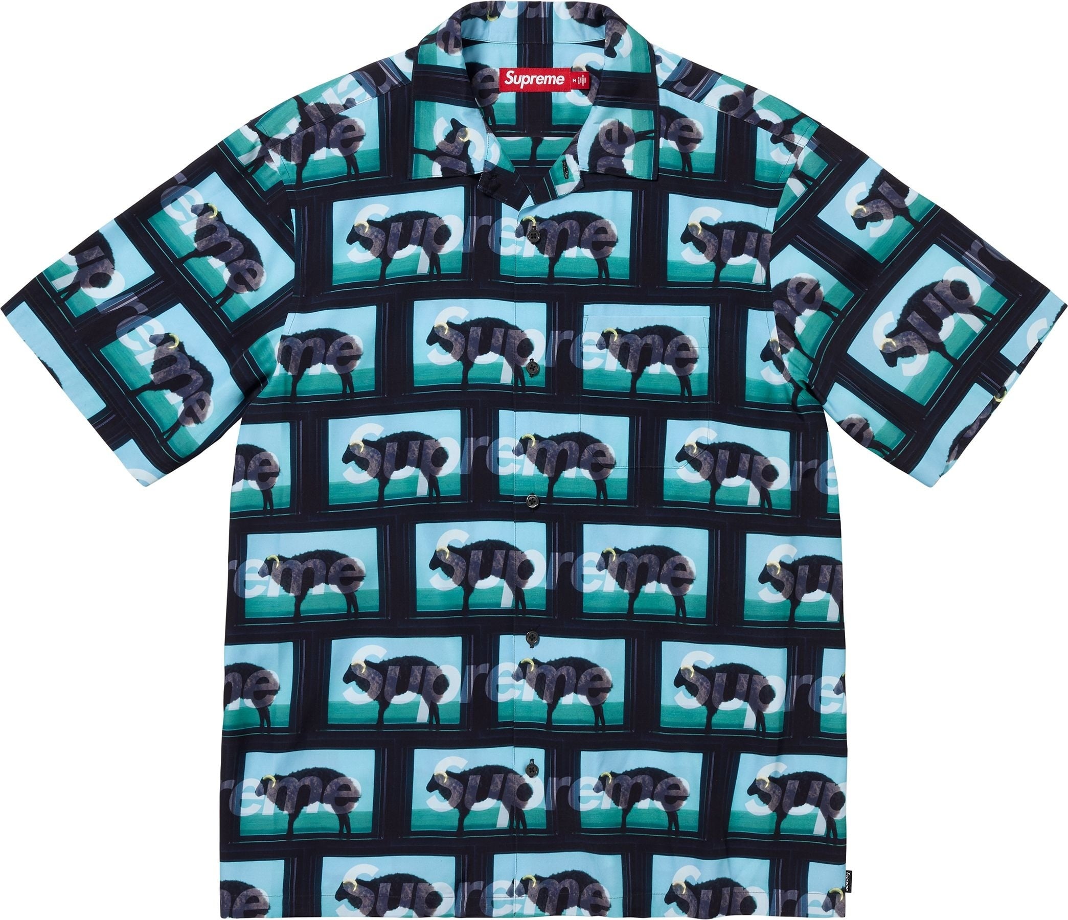 Supreme/Damien Hirst S/S Shirt view 3